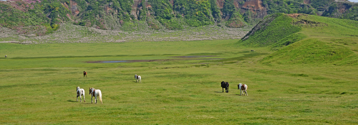大陸通商株式会社